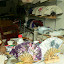 Suzhou sklep z wachlarzami