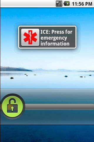 Emergency Information ICE Screen 3