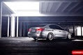 Vossen-8