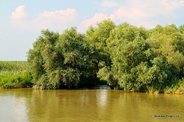 Sfântu Gheorghe Delta Dunarii 5192.JPG