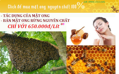 tác dụng của mật ong, bán mật ong rừng nguyên chất