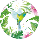 Image Google de Audrey *