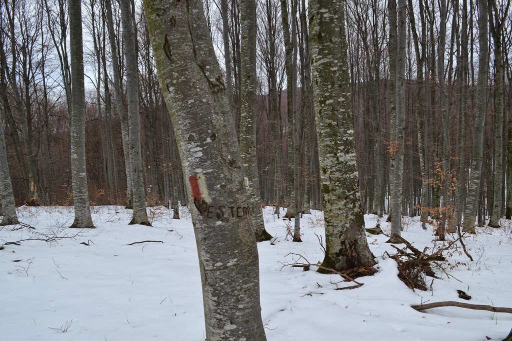 [DSC_20683.jpg]