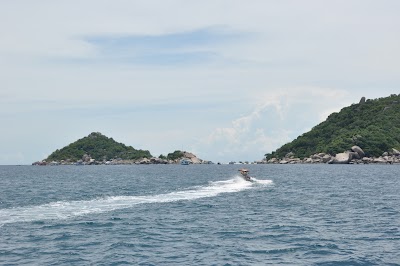 DSC_0293.JPG