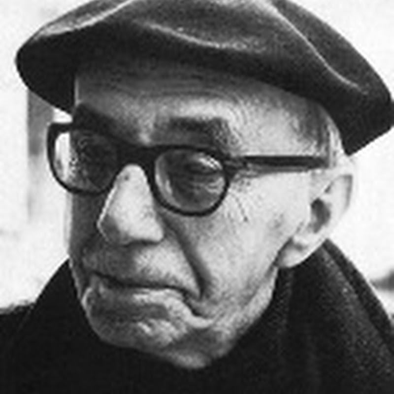 Povero Gabbiano Che Ha Perduto La Compagna