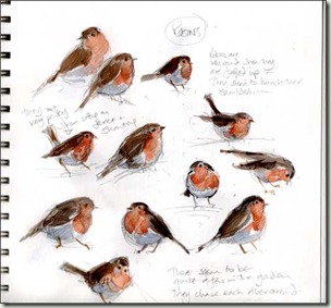 robins pagebg