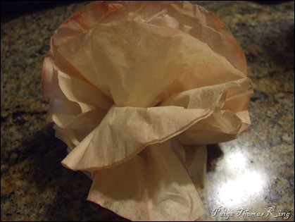 coffee filter open