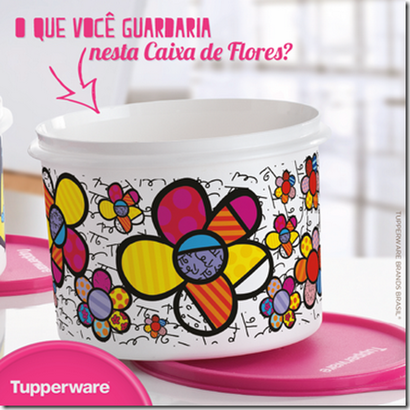 Romero Britto e Tupperware, Sucesso e Beleza Garantido..