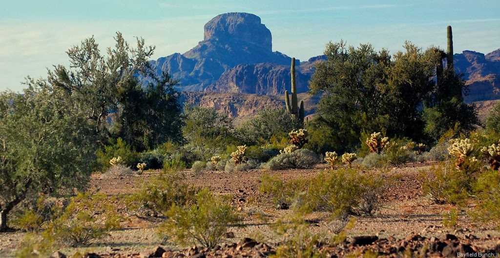 [DSC_0569%255B4%255D.jpg]