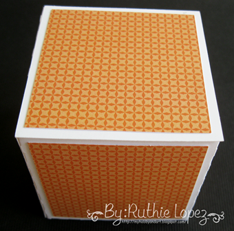 cake box surprise box - Lid SDS - Ruthie Lopez DT 6