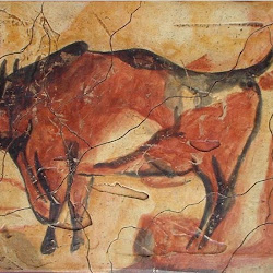 20 - Gran bisonte de Altamira