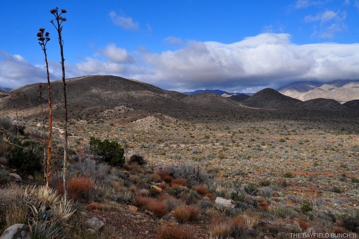 [DSC_0047%255B9%255D.jpg]