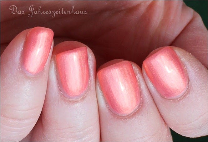 Koralle P2 Rosy Coral Deep Water Love 6