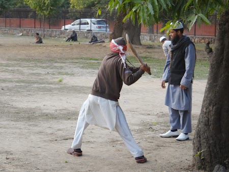 28. Cricket Delhi.JPG