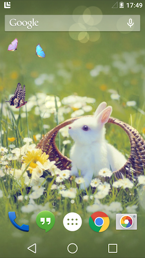 Little Bunny Live Wallpaper