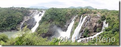 SueReno_Shivanasamudra Falls 3