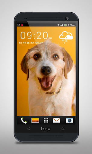 免費下載個人化APP|Happy Dog Live Wallpaper app開箱文|APP開箱王