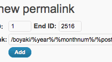 thumbnail Advanced Permalinks の Post ID 別パーマリンク設定画面