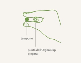 IMG_ copia IMG_ copia