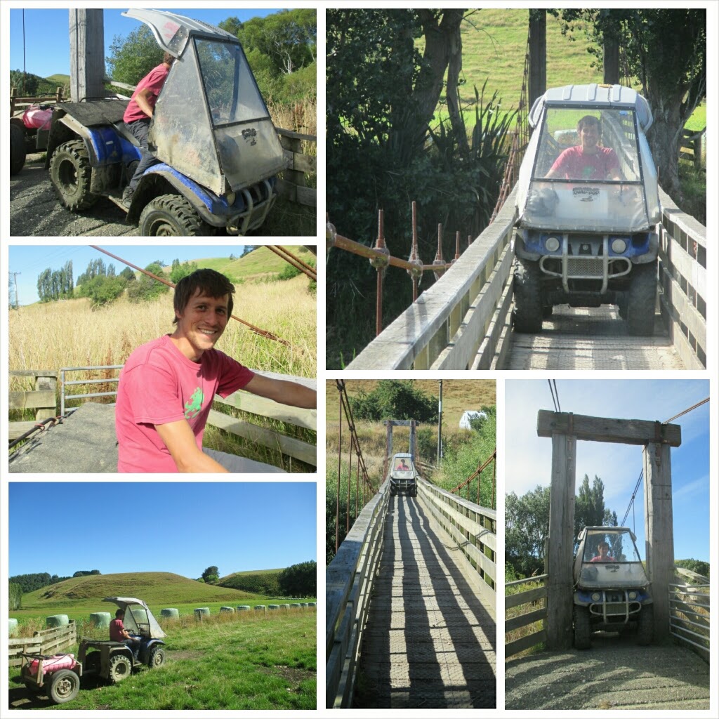 Working vehicle