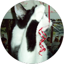 Image Google de Elise Triniol