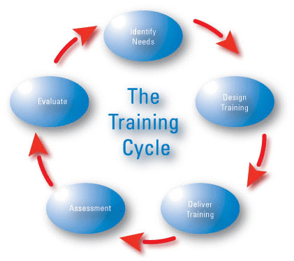 [training_cycle%2520x5_png%255B2%255D.png]