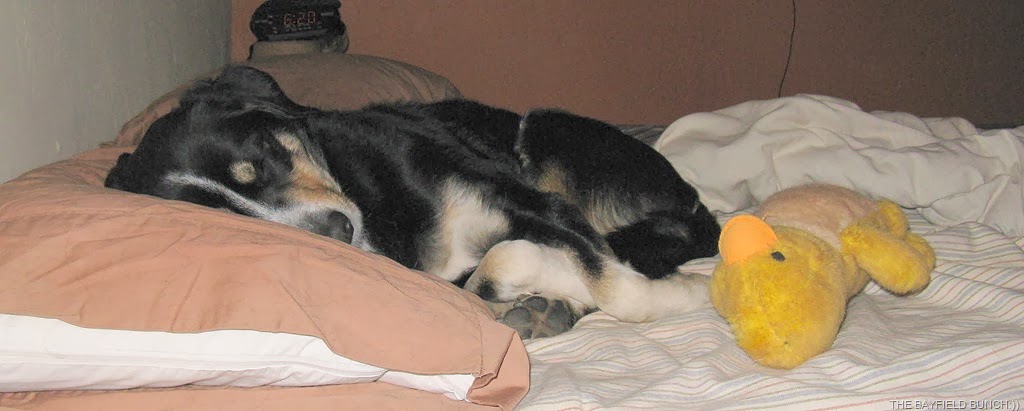 [IMG_3571%255B4%255D.jpg]