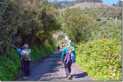 7740 La Laguna-Barranco del Laurel(Camino a San Fernando) 7740 La Laguna-Barranco del Laurel(Camino a San Fernando)