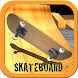 Skateboard +
