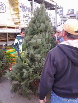 Picking a tree at Home Depot
