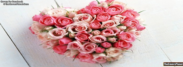 [rose-flowers-facebook-covers%255B5%255D.jpg]