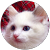 miya karin miya karin