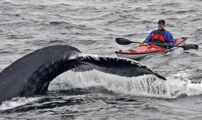 [clip_image006%255B6%255D.jpg]