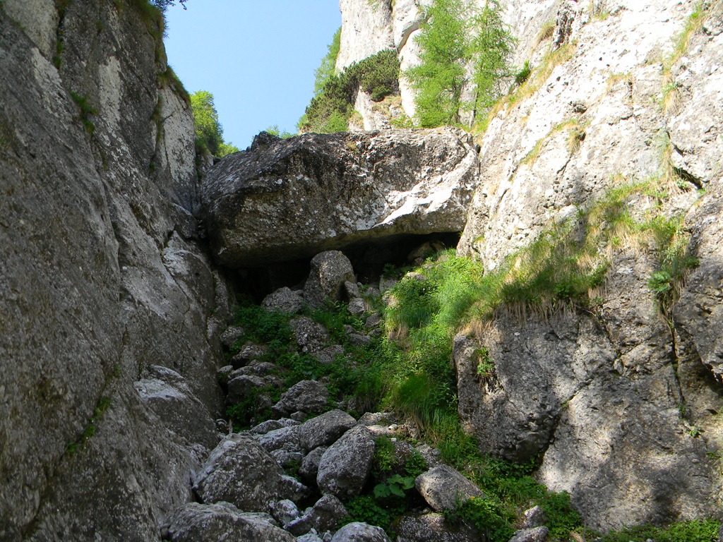 [DSCN31623.jpg]
