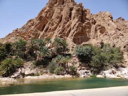02. Lac in desert in Oman.JPG