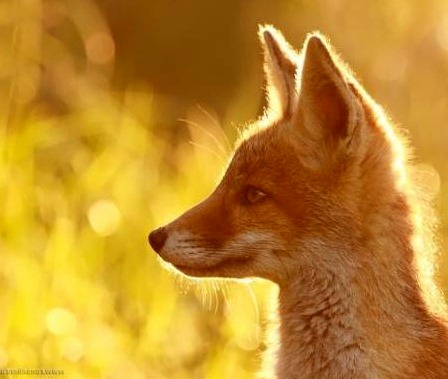 [93f864af617bc0a9877a71bb492_prev%255B17%255D.jpg]