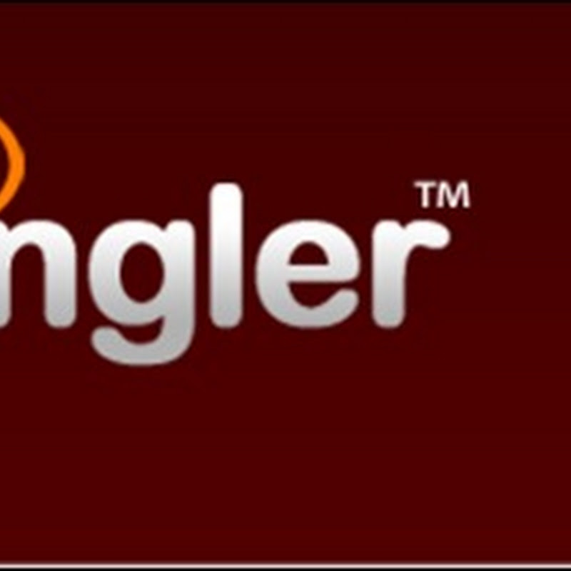 Pingler.com เว็บปิง วิธีการ Ping ทำวันละครั้งก็พอ