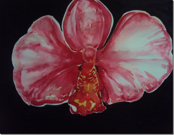 Bigpinkorchid flower inwatercolor