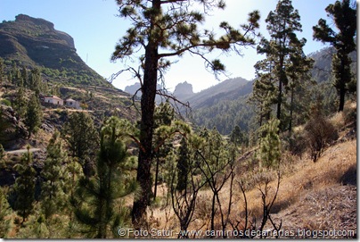 6209 Montaña Alsandara 6209 Montaña Alsandara