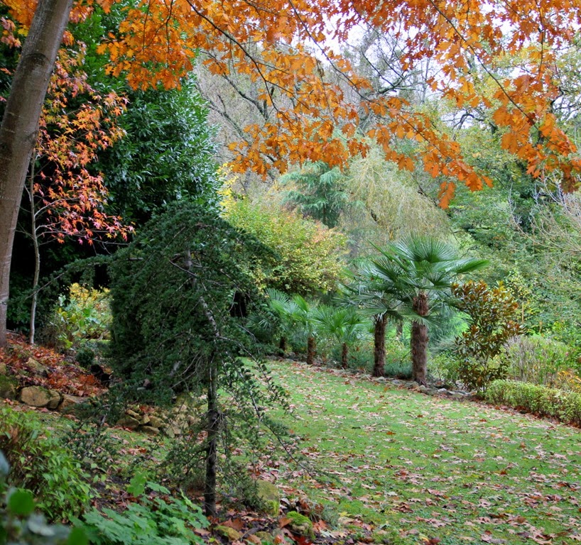 [IMG_9696%255B4%255D.jpg]