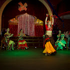 IMG_9237.jpg