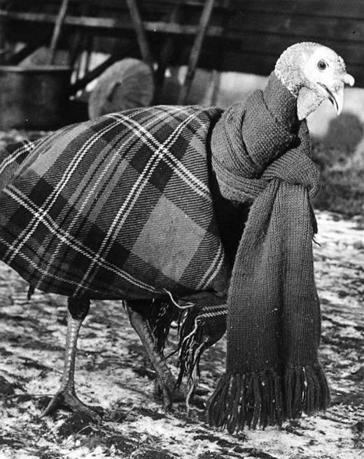 [clip_image008%255B3%255D.jpg]