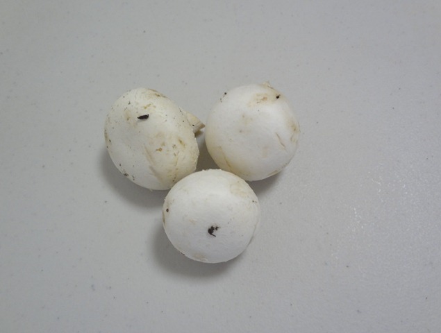 [nam%2520trang%255B3%255D.jpg]