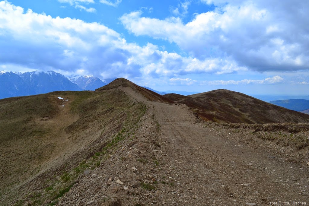 [DSC_99364.jpg]