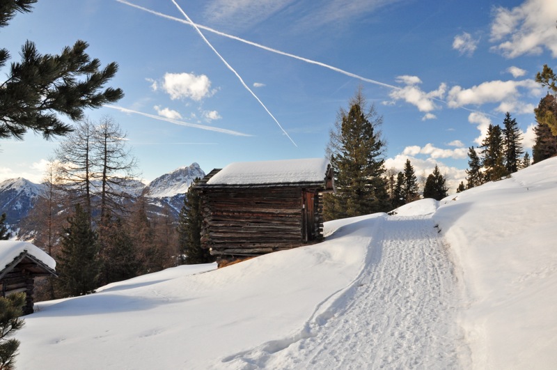 DSC_8120.JPG DSC 8120