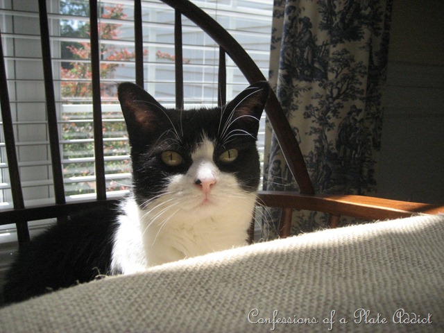 [002%255B9%255D.jpg]