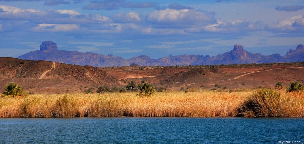 [DSC_0604%255B4%255D.jpg]