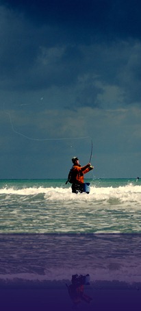 Bass fishing wexford