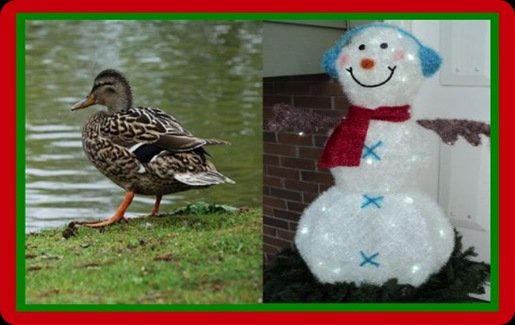 Christmas-Duck-Pond-ShortStory 1