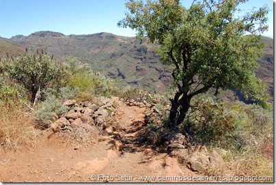 6052 Los Cascajales-Guayadeque 6052 Los Cascajales-Guayadeque